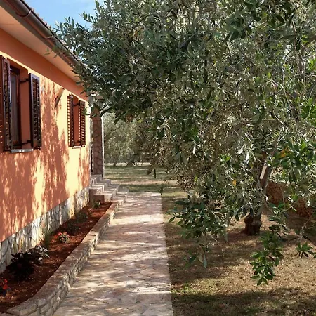 Tedi Galižana