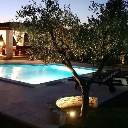 Tedi Hotel